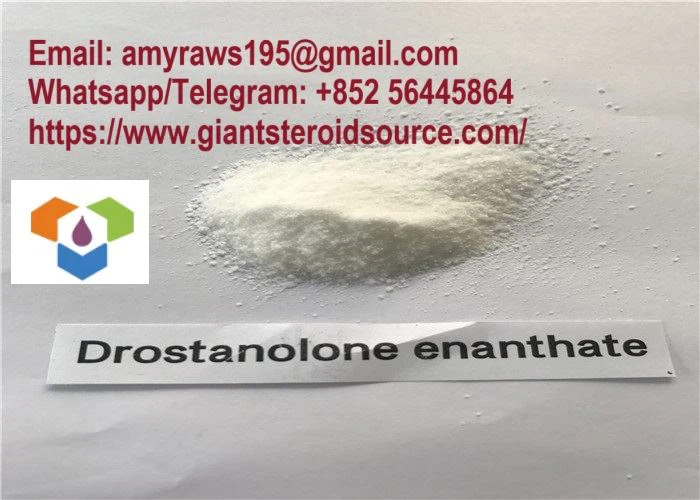 Anabolic Powder Drostanolone Enanthate CAS:472-61-145 Með góðu verði