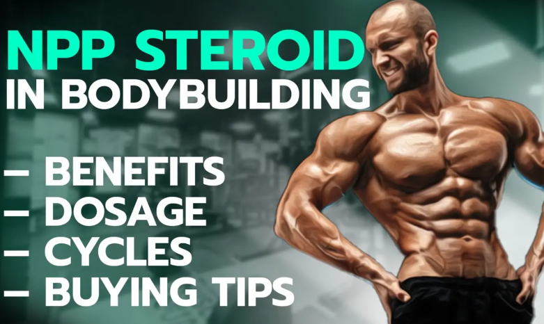 product-781-466 product-781-466