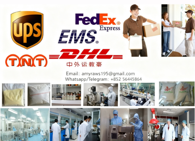 product-683-495 product-683-495